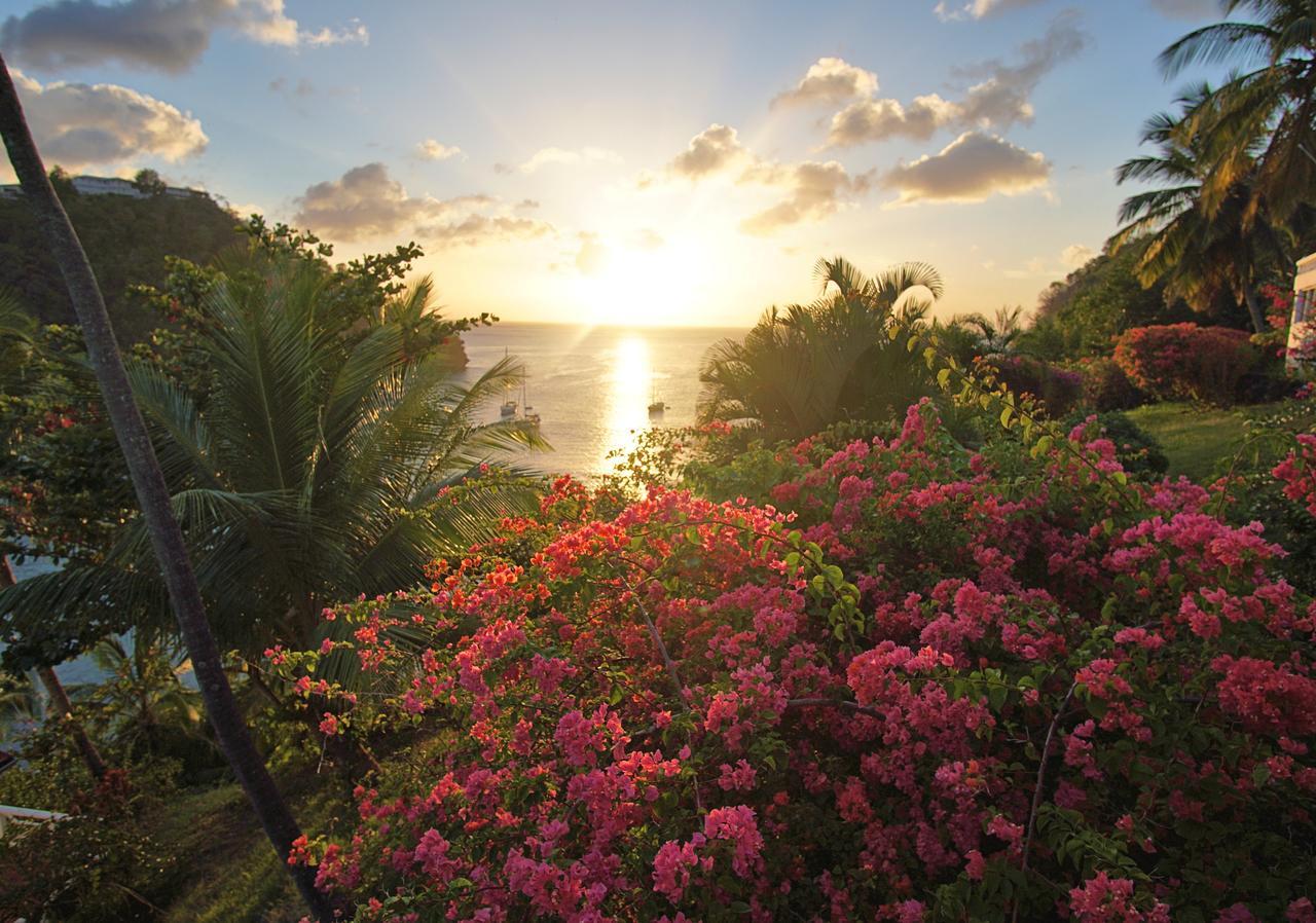 Marigot Beach Club & Dive Resort Dış mekan fotoğraf